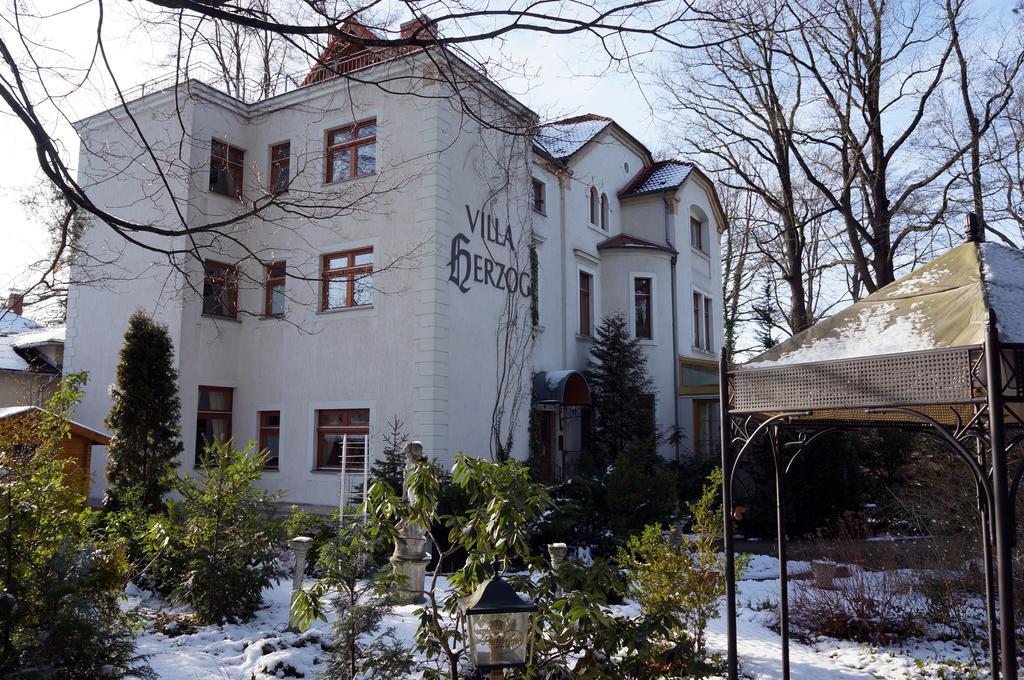 Hotel Villa Herzog Dresden Exterior foto